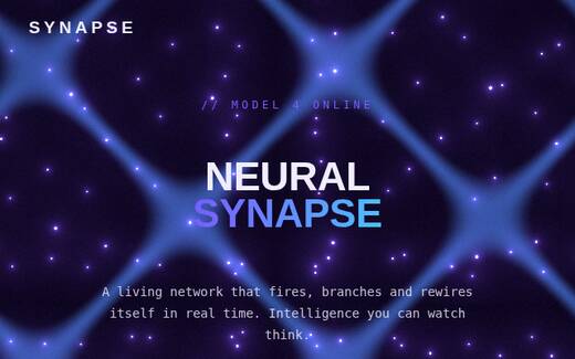 Neural Synapse Field design direction